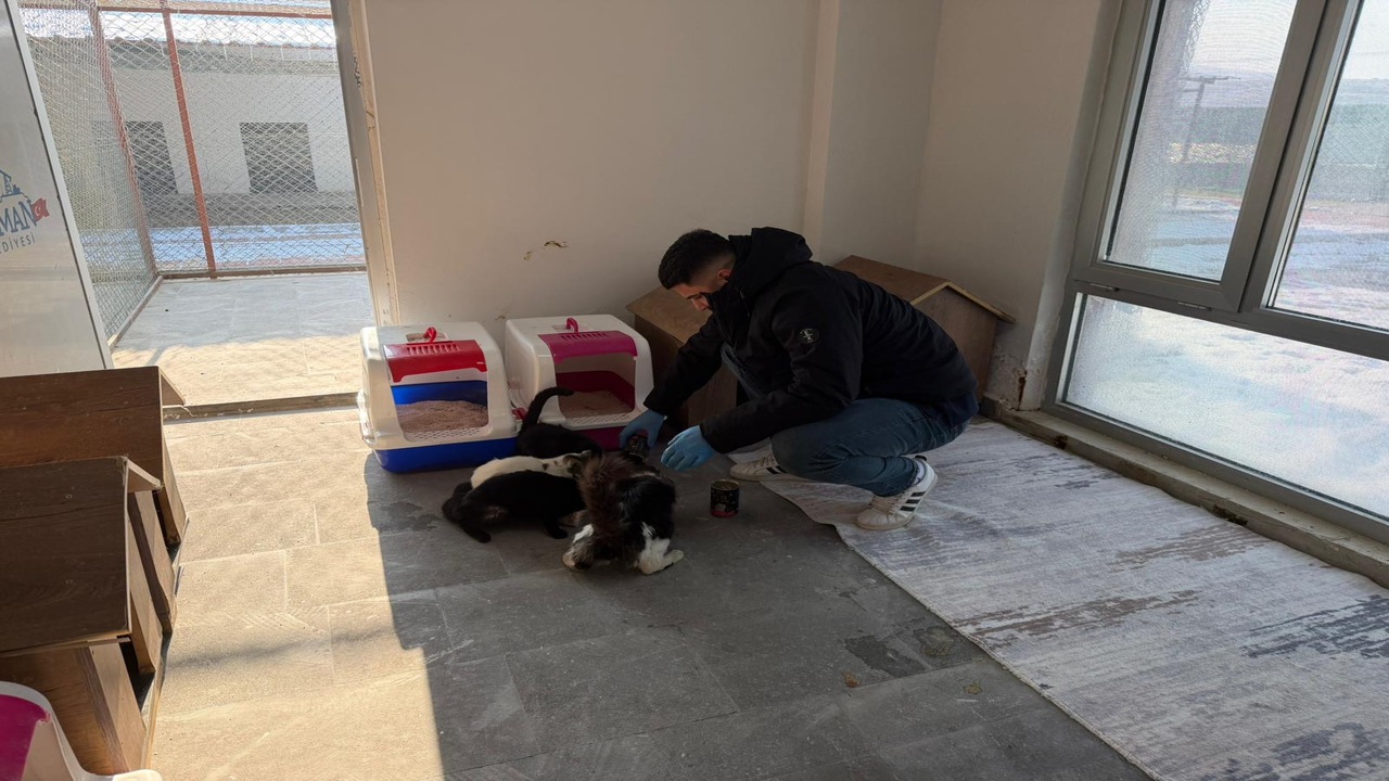 Batmanda Soguk Havada Ic Isitan (2)