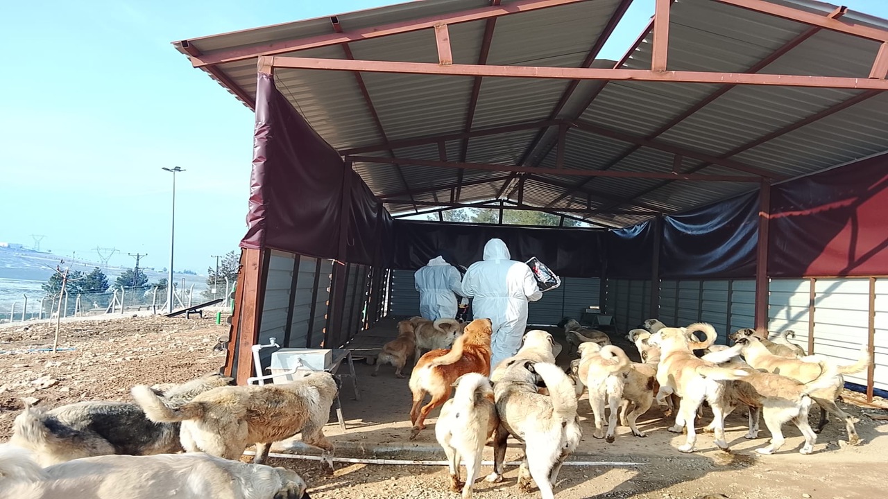 Batmanda Soguk Havada Ic Isitan (3)