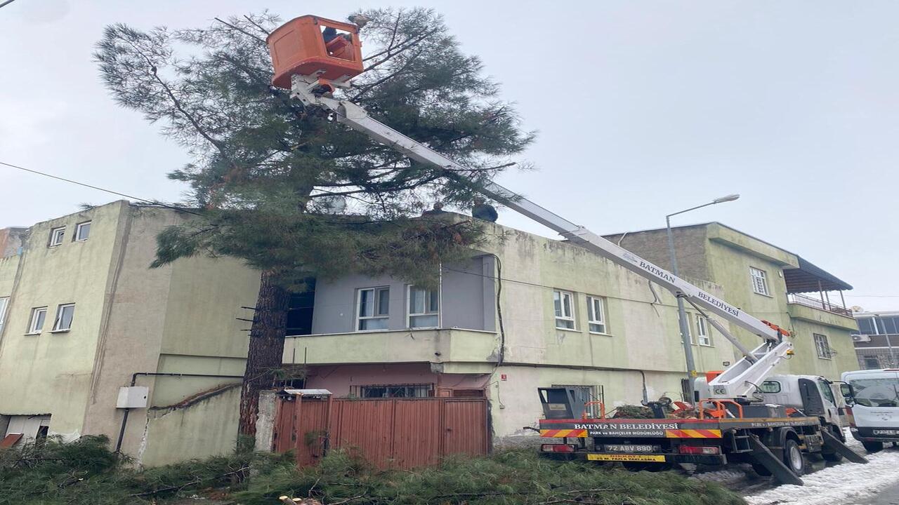 Batmanin Yesil Dokusuna Kis Kalk (1)