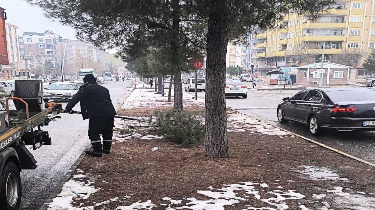 Batmanin Yesil Dokusuna Kis Kalk (2)