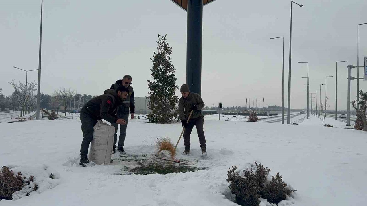 Belediye Yaban Hayvanlarini Unut