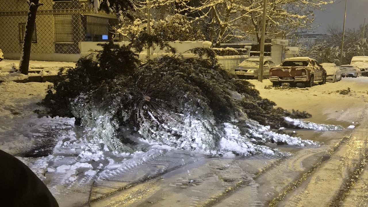 Dallarda Biriken Tehlike Batmand (2)