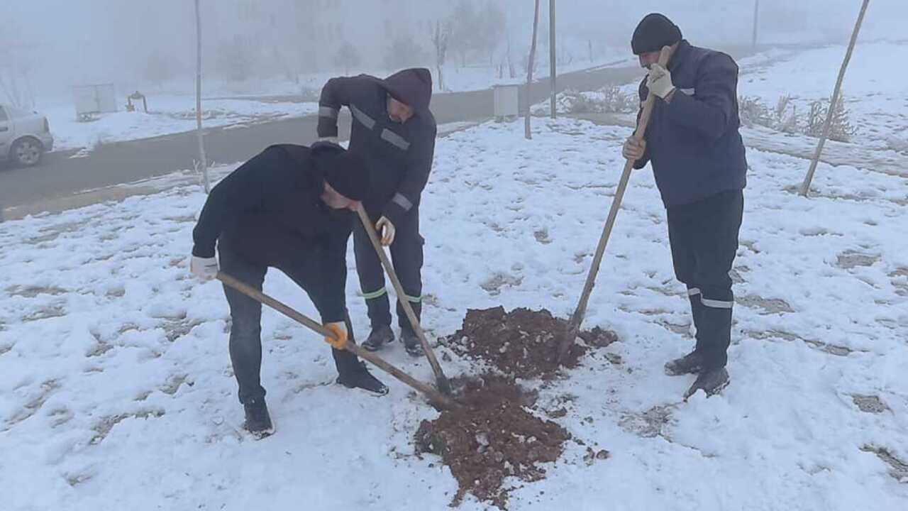 Kardelen Mahallesinde Yesil Donu