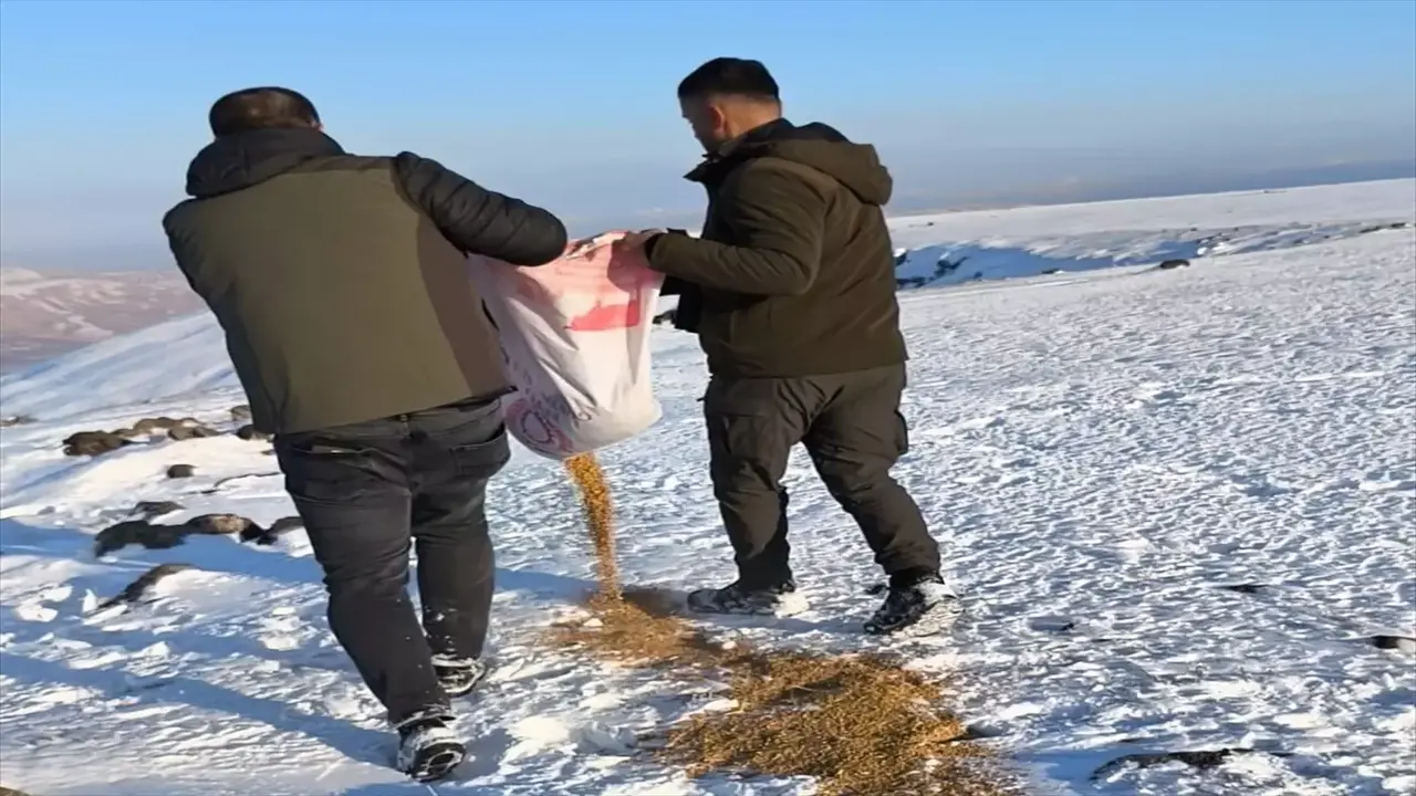 Batman Beyaz Esarete Teslim Dagl (1)