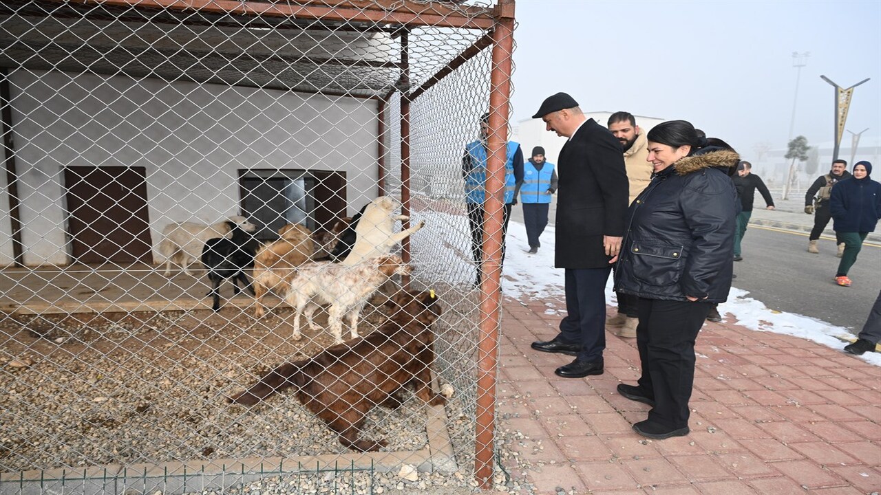 Can Dostlarimiza Sicak Takip Val (1)