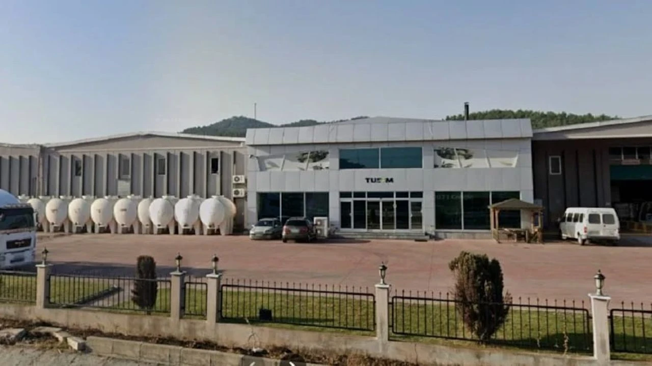 Egenin Zeytin Devinde Deprem Tusem Tarim Bir Kez Daha Kurtulus Kapisinda2