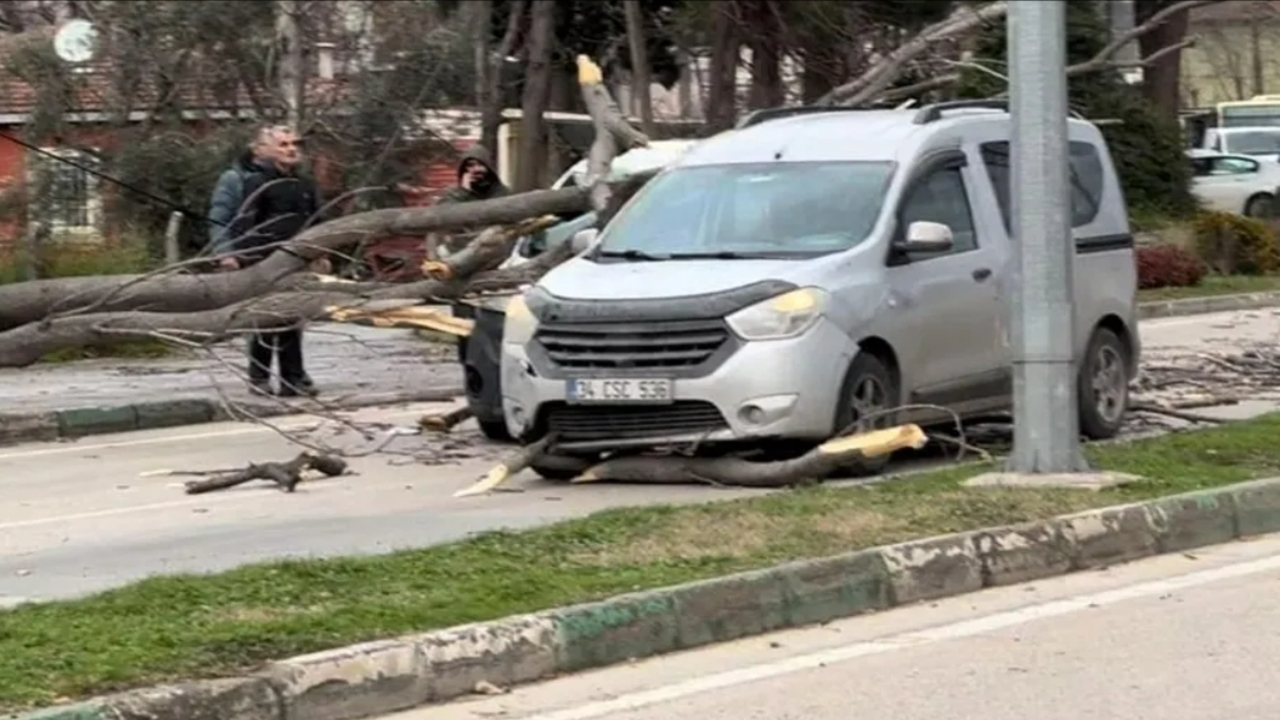 Bursada Lodosun Ofkesi Dinmiyor (1)