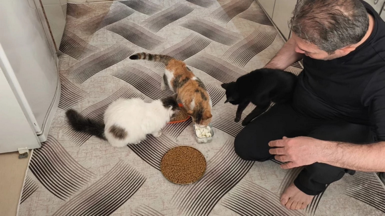 Sasonda Sicak Bir Dayanisma Bele (1) (1)