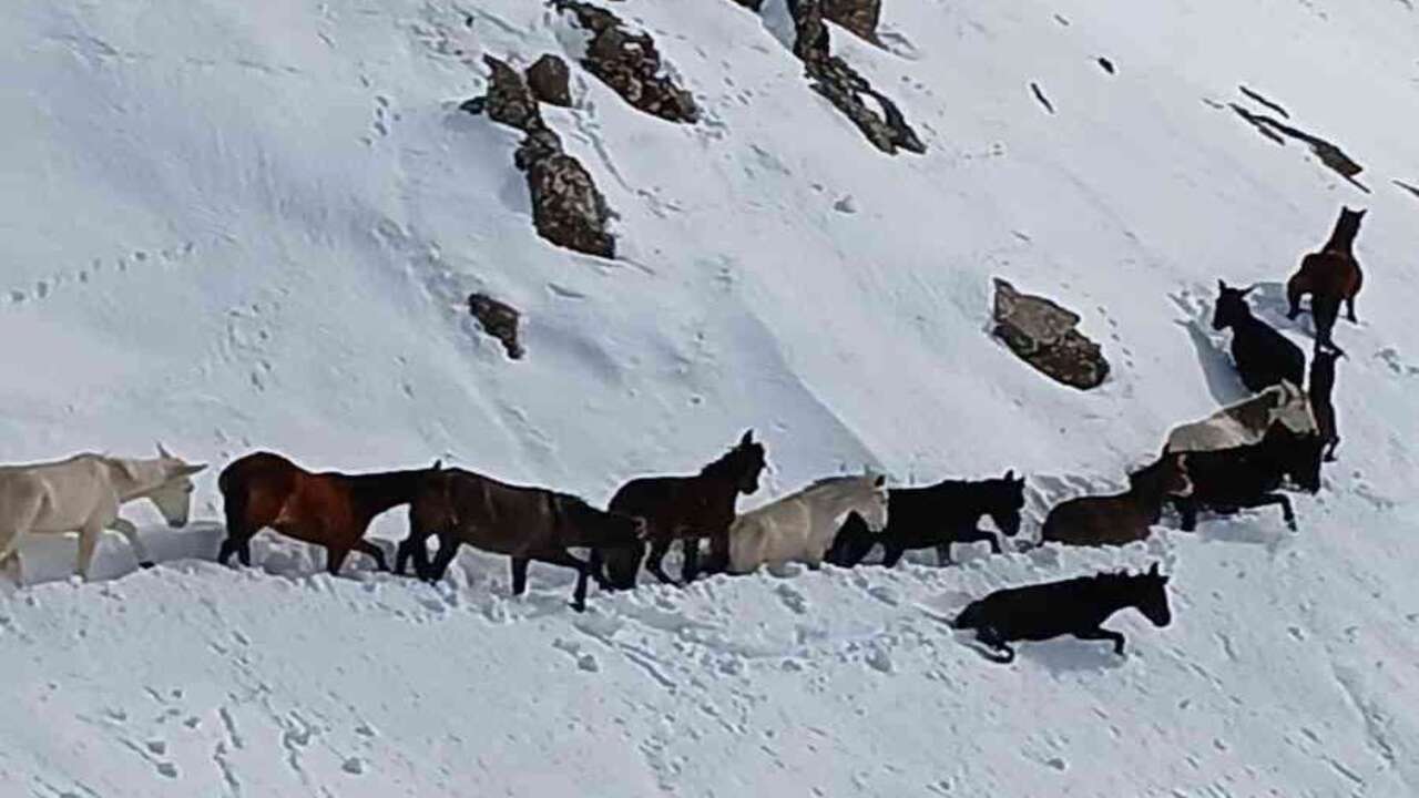 Sasonun Karli Daglarinda Can Paz (1)