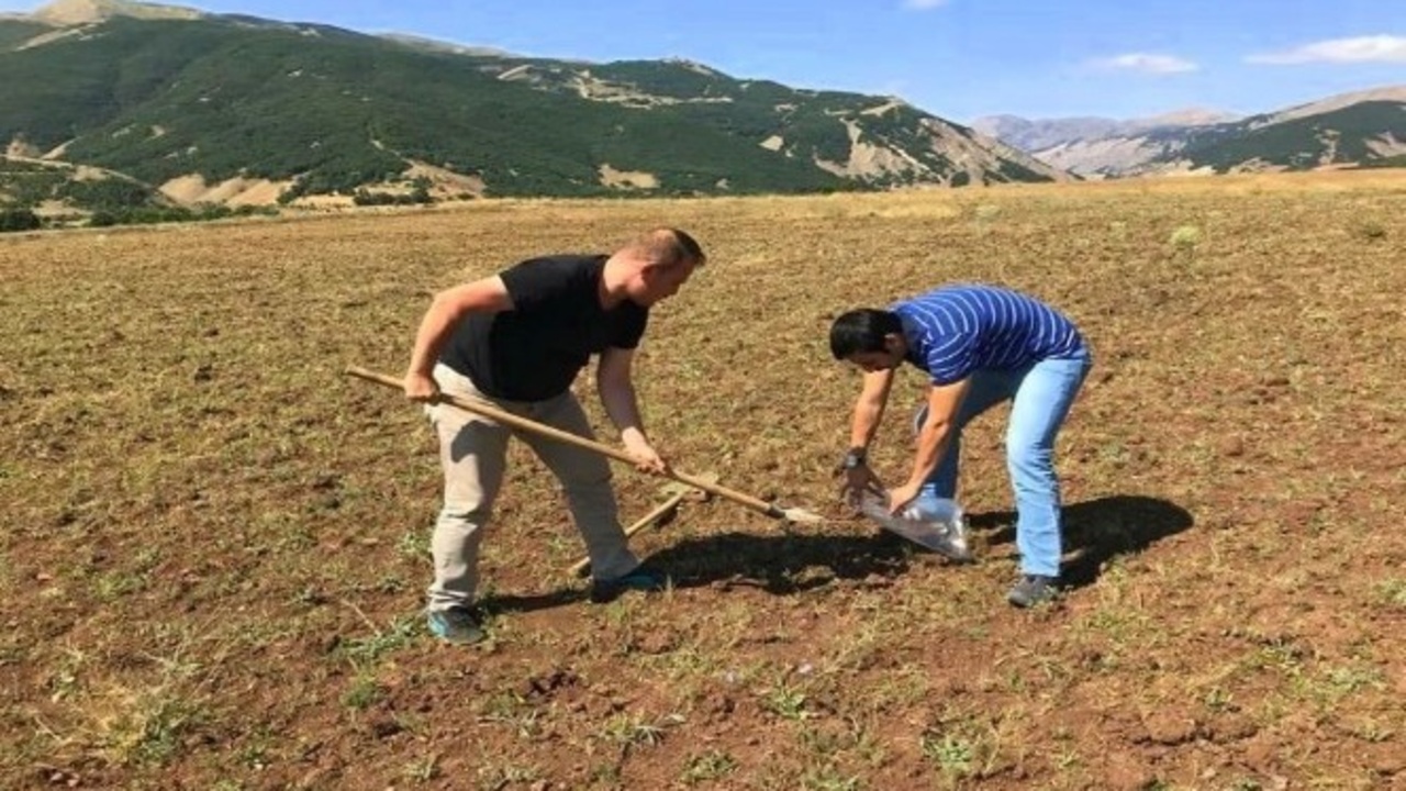 Bingolde En Cok Ne Yetisir2 (1)