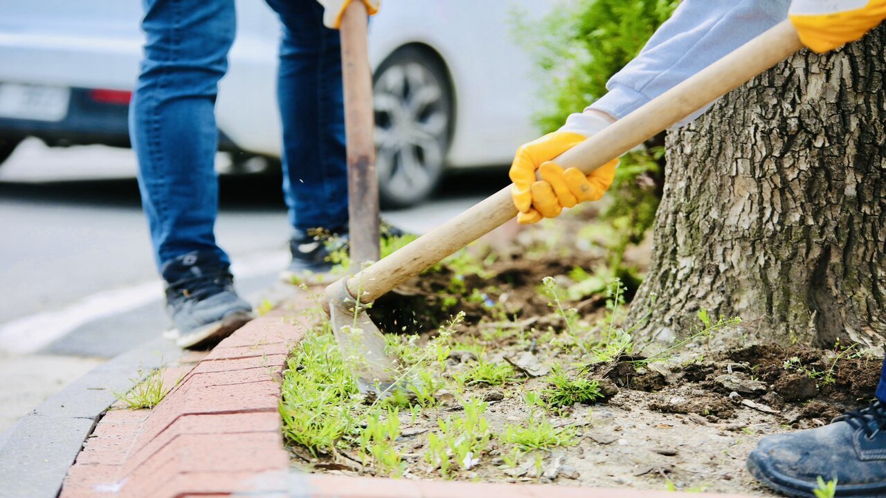 Batmanda Sehir Yeniden Cicek Aciyor 1