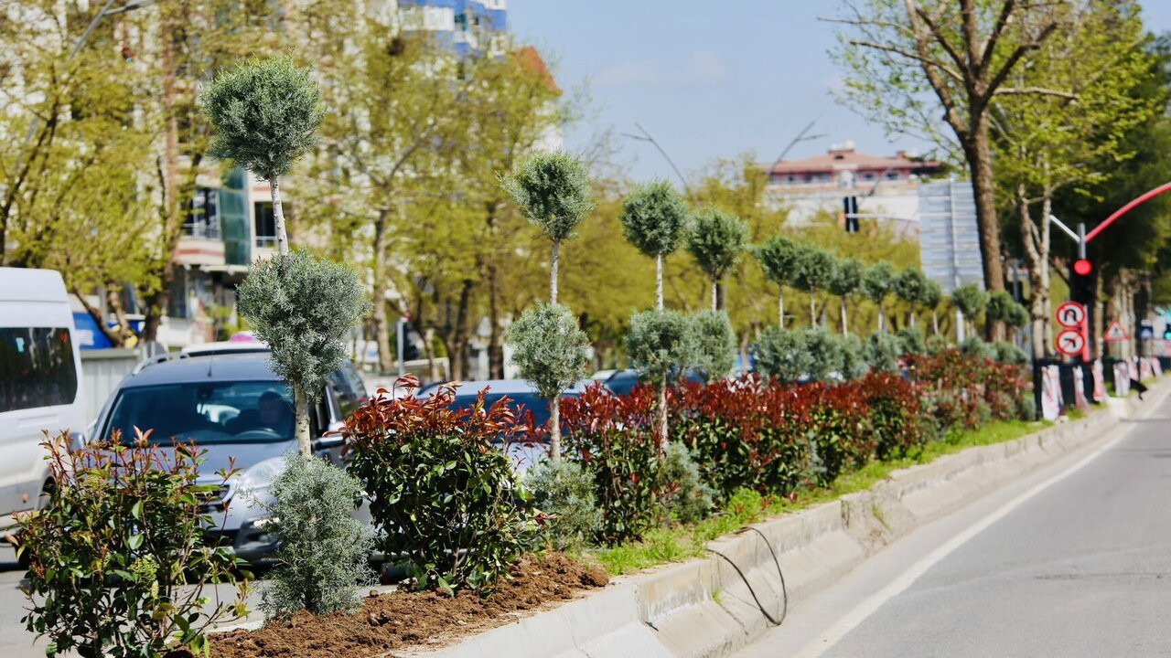 Batmanda Sehir Yeniden Cicek Aciyor 3