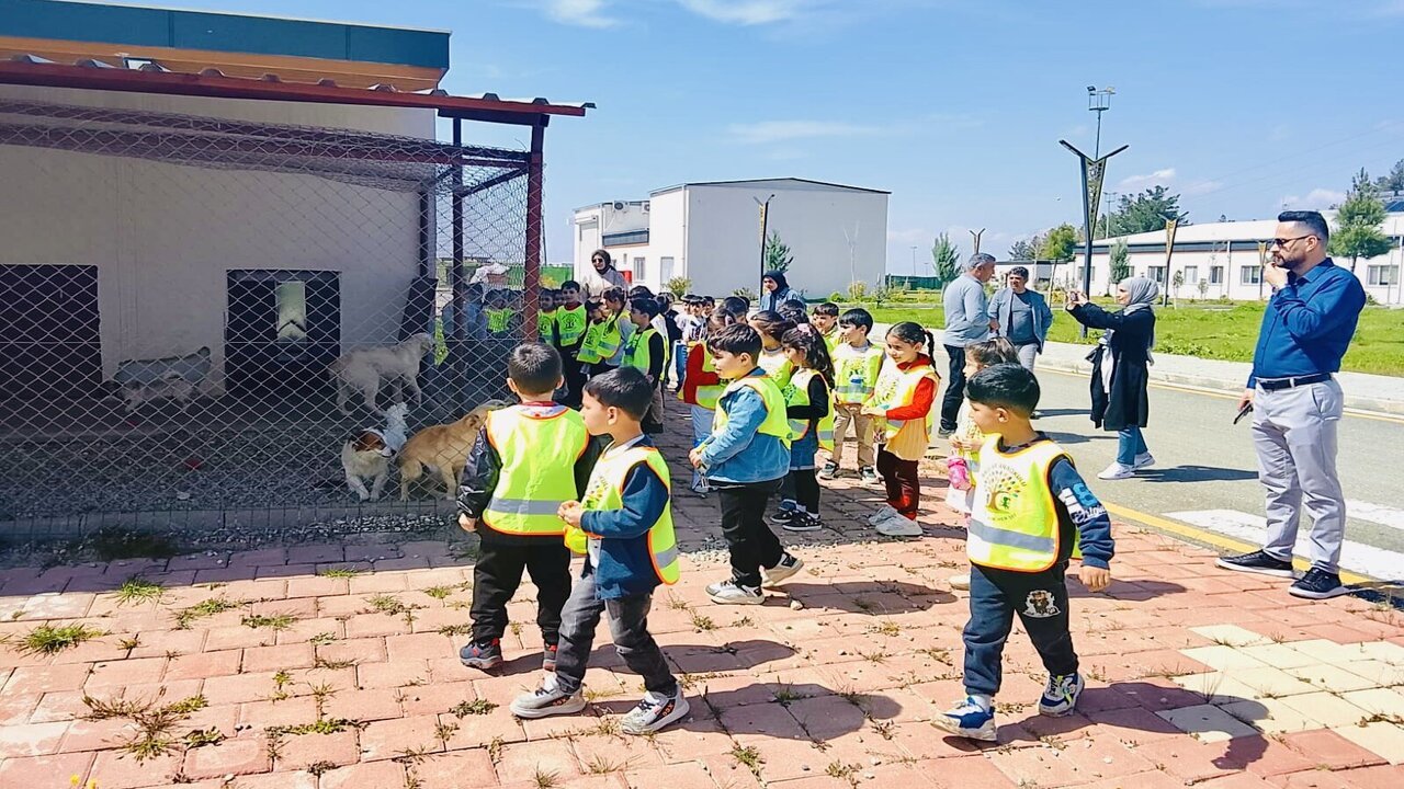 Batmanli Ogrenciler Sordu Veteriner Hekimler Cevaplad 1