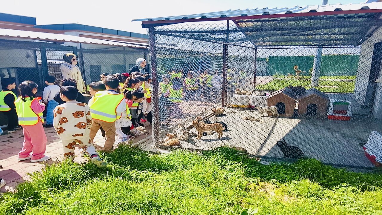 Batmanlı Öğrenciler Sordu, Veteriner Hekimler Cevapladı