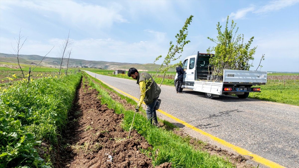 Batman Köy Yolları Meyve Bahçesine Dönüşüyor