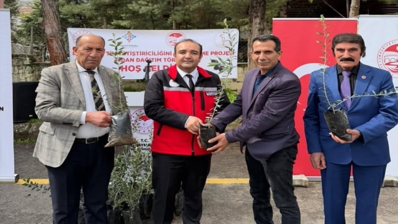 BEŞİRİ’DE ZEYTİN SEFERBERLİĞİ: 250 Üreticiye 20 Bin Fidan Dağıtıldı