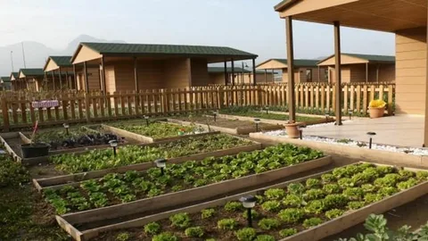 Hobi Bahceleri Ve Tarim Arazileri Icin Yeni Donem Yikim Ve Rekor Cezalar Gundemde 2