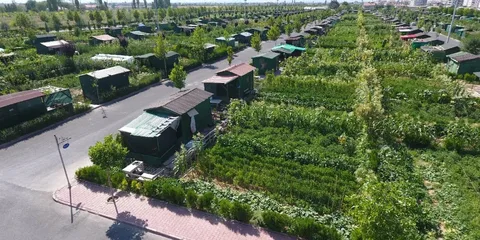 Hobi Bahceleri Ve Tarim Arazileri Icin Yeni Donem Yikim Ve Rekor Cezalar Gundemde