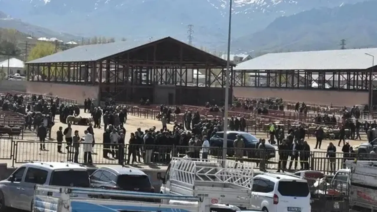 Van’da Hayvan Pazarında Kanlı Kavga: 1 Ölü, 13 Yaralı