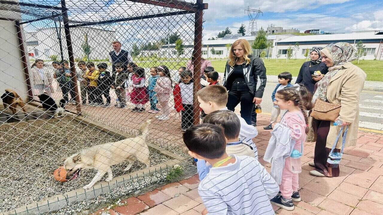 Batmanli Ogrenciler Hayvan Bakimini Yerinde Ogrendi 1