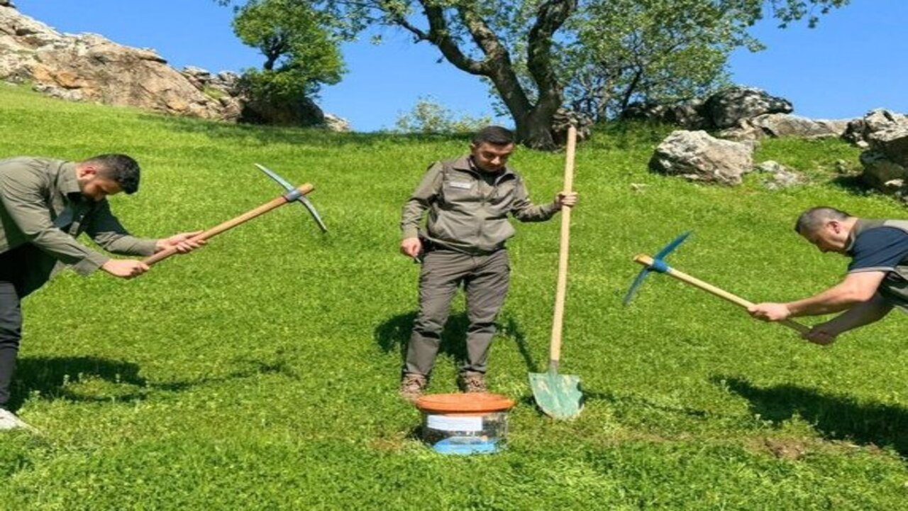 Batmanda Kacak Salep Operasyonu 38 Kilogram Yumru Bulundu 1