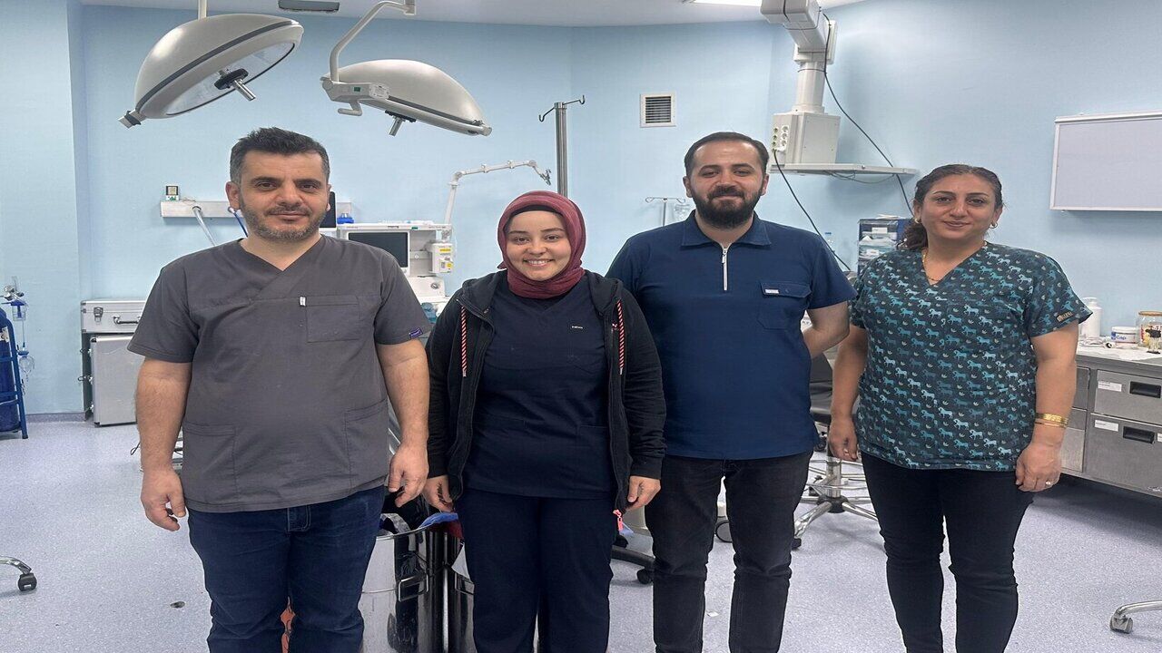 Batmanda Burun Tabanina Gomulen Kopek Disi Ve Kist Cikarildi 2