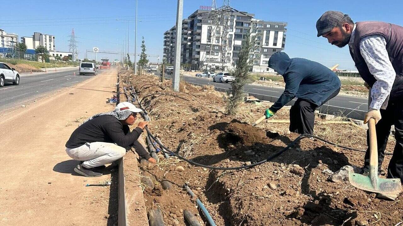 Batman Cevre Yollarinda Yesil Kusak Seferberligi 2
