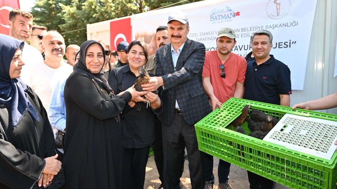 Batmanda Kosan Tavuk Donemi 1
