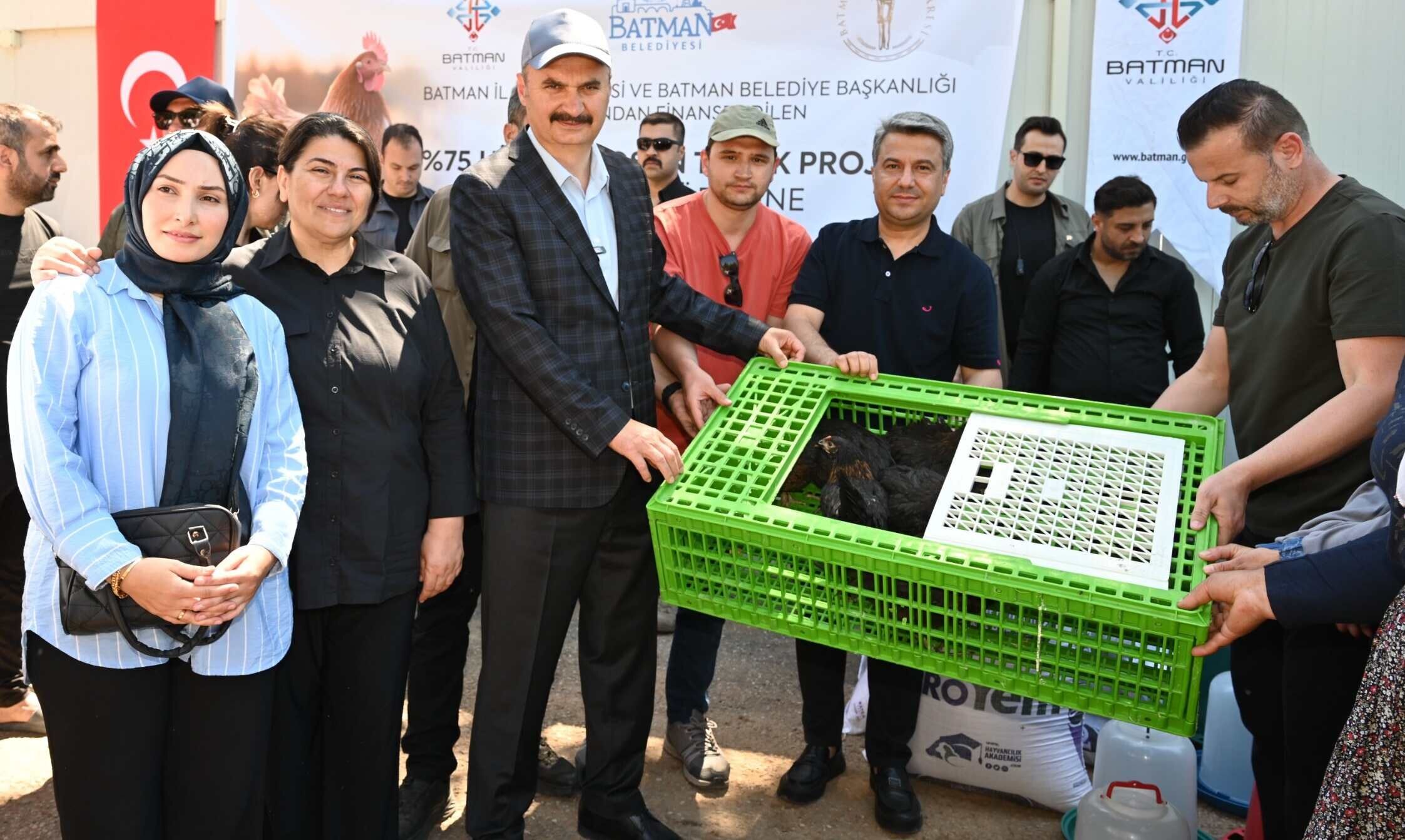 Batmanda Kosan Tavuk Donemi 2