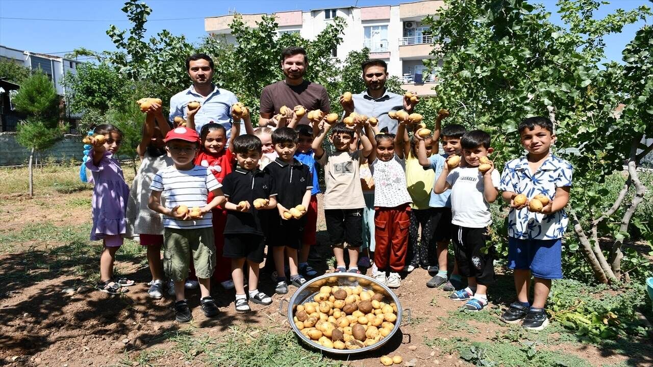 Batmanlı Öğrenciler İlk Patates Hasadını Yaptı