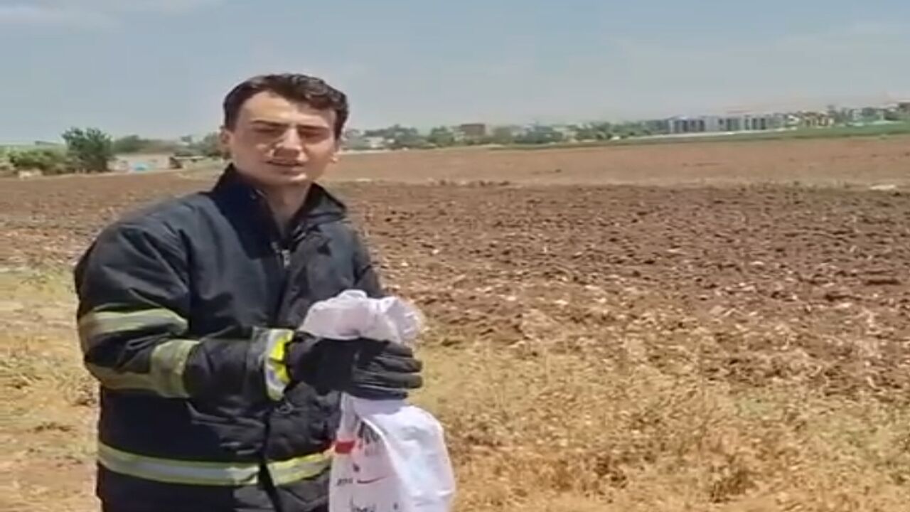 Yılan Bahçeden Okulun Toplantı Salonuna Girdi