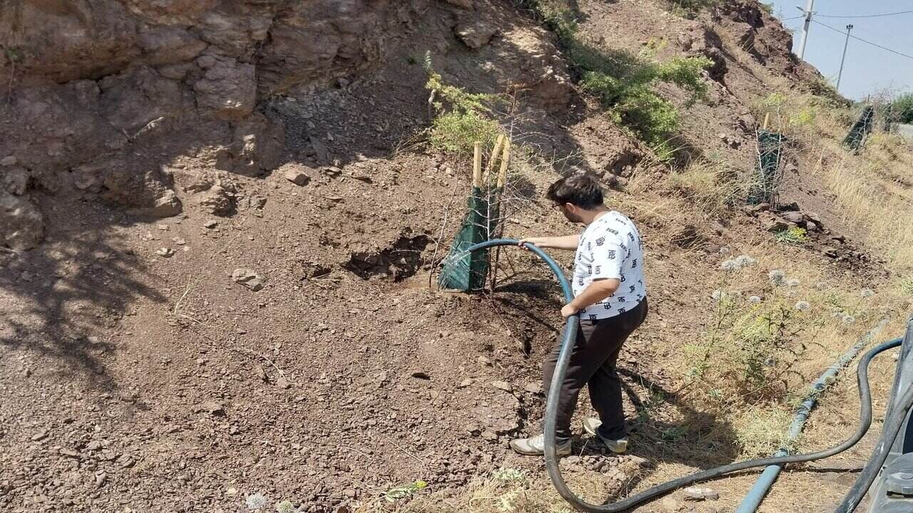 Sason’da Meyve Veren Ağaç Projesi Kapsamında Sulama Çalışmaları Sürüyor
