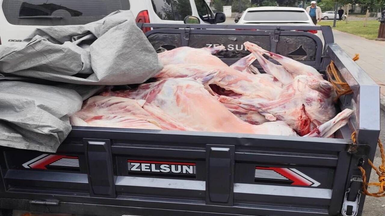 Batmanda Kacak Kesime Baskin 14 Hayvanin Eti Imha Edildi 1