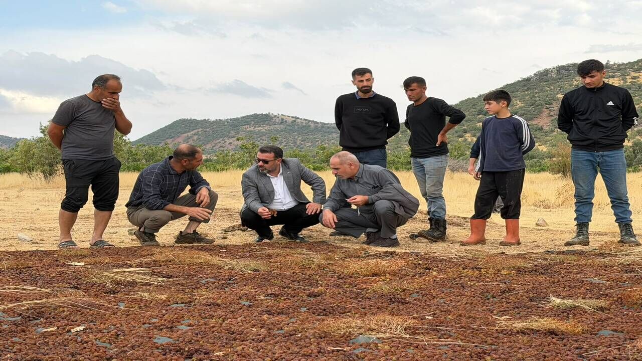 Gercuste Yagmur Kuru Uzumu Vurdu Uretici Destek Bekliyor 2
