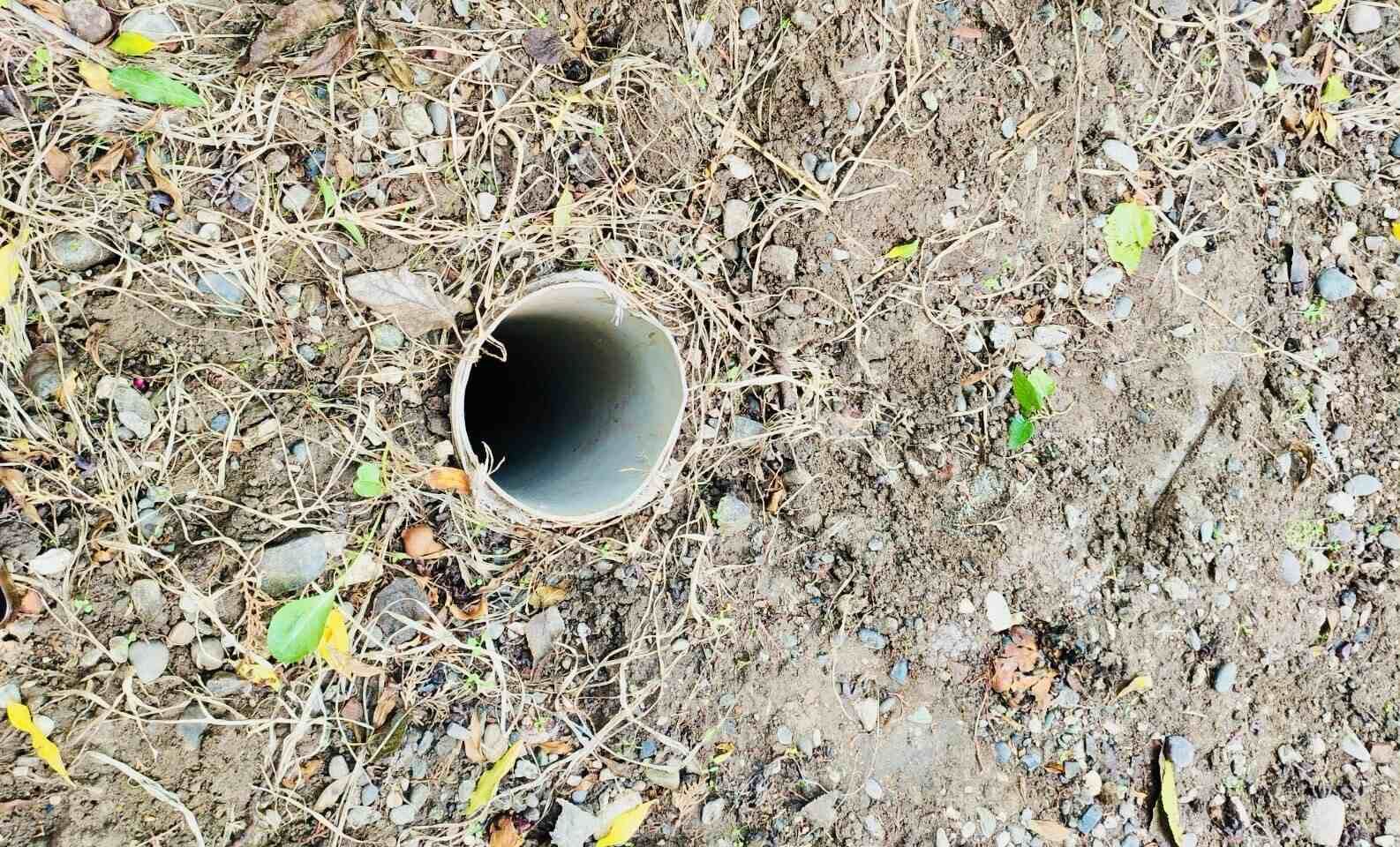 Batmanda Boruya Sikisan Yavru Kedi Kurtarildi 1