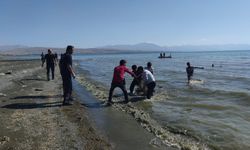 Van Gölü'ne giren 6 çocuktan 2'si boğuldu