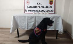 Şanlıurfa'da kaçakçılık operasyonunda 5 kişi gözaltına alındı