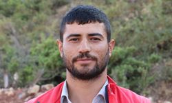 Siirt'te çizgili sırtlan ölü bulundu