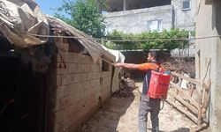 Batman Belediyesi, Haşere İle Mücadele Çalışmalarını Aralıksız Sürdürüyor