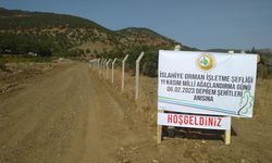 Gaziantep'te depremde hayatını kaybedenler için fidan dikildi