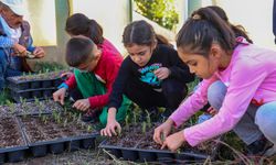 Üstün yetenekli çocuklar seralarda çiçek ile tıbbi ve aromatik bitkiler yetiştiriyor