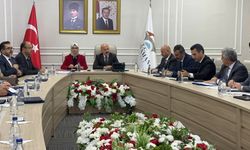 TBMM Çocuk Hakları Alt Komisyonu Adıyaman'da ziyaretlerde bulundu