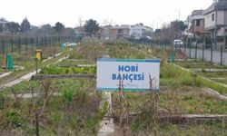 Kaçak Hobi Bahçelerine Milyonluk Ceza
