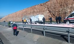 Şanlıurfa'da kamyona çarpan minibüs sürücüsü yaralandı