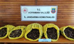 Adıyaman'da kaçak salep soğanı toplayan 5 kişiye 1 milyon 935 bin 705  lira ceza