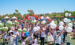 Diyarbakır'da Filistin bayrağının renklerinde balonlar gökyüzüne bırakıldı