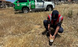 Gaziantep yaralı halde bulunan şahin ve baykuş tedaviye alındı