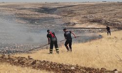 Mardin'in 5 ilçesinde çıkan anız ve örtü yangını söndürüldü