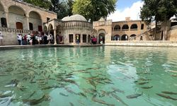 Şanlıurfa'da turistler gündüz tarih, akşam müzik yolculuğuna çıkıyor