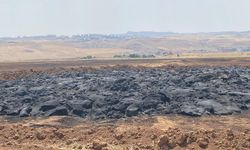 Siirt'te anız yangını çıkan alanlarda hasar tespiti tamamlandı